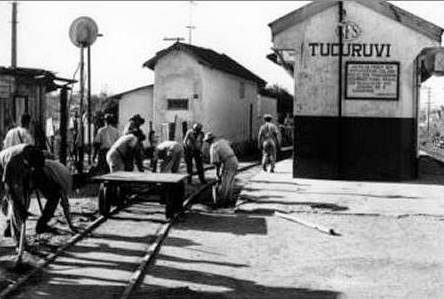 Tucuruvi