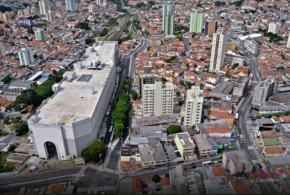dedetizadora no tucuruvi