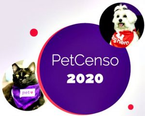 Pesquisa revela os nomes de cães e gatos mais comuns no Brasil em 2020