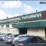 Tucuruvi