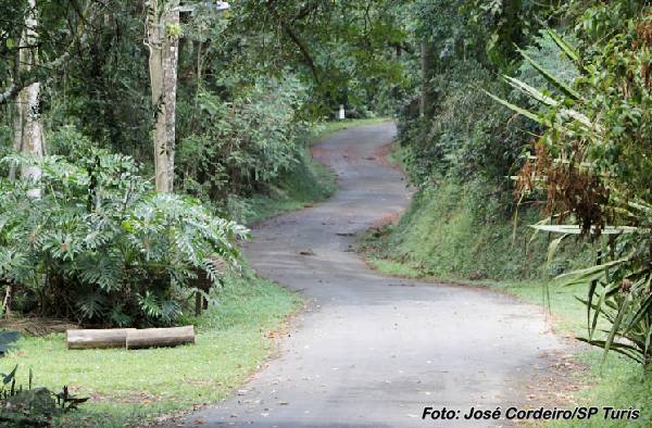 Novos Horto Florestal 