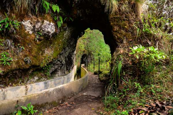 Madeira