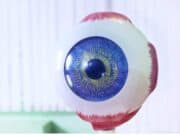 12 de março – Dia Mundial do Glaucoma Dia Mundial do Glaucoma