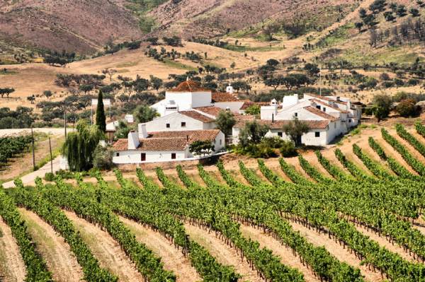 enoturismo no Alentejo