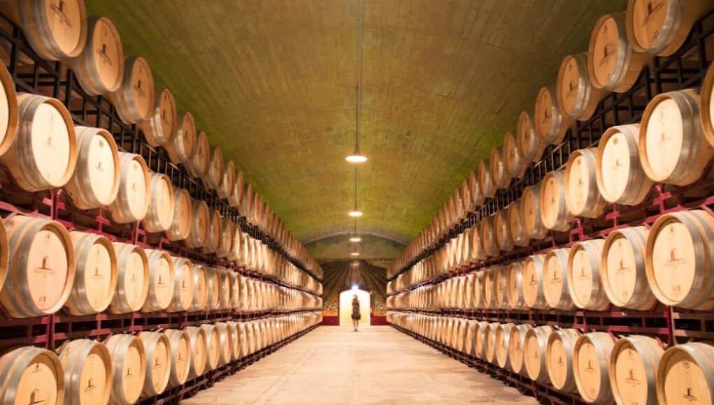 enoturismo no Alentejo