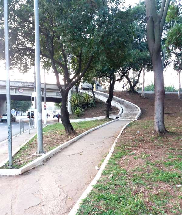 Pontes bosques urbanos