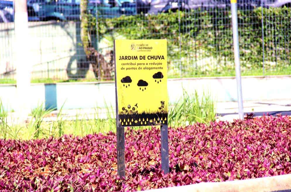 Pontes bosques urbanos