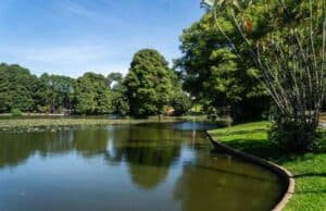 Férias no Horto Florestal tem música, passeio botânico e vacinação contra sarampo. Grátis parques zona norte férias