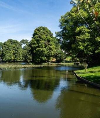 Férias no Horto Florestal tem música, passeio botânico e vacinação contra sarampo. Grátis parques zona norte férias
