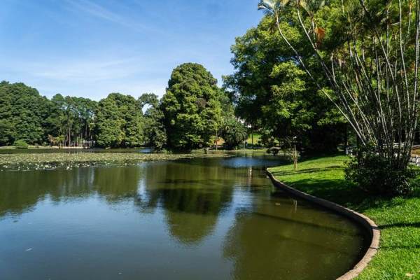 hortoflorestal parques zona norte férias