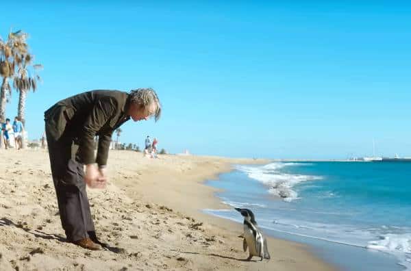 Lições de Liberdade Pinguim