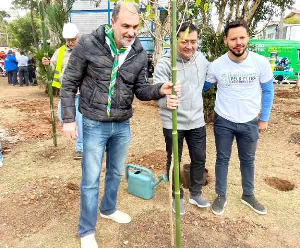 Santana bosque árvores