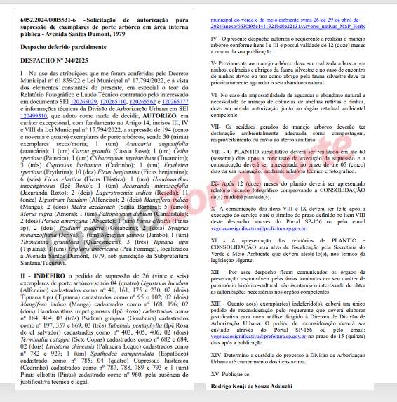 Campo Marte corte árvores