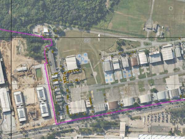 Campo Marte corte árvores