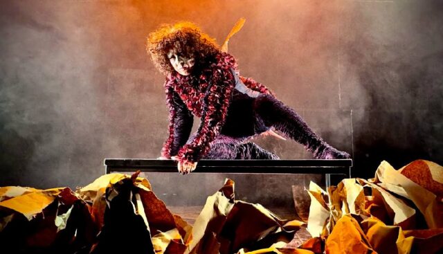 Carvoeirinhos Trabalho Infantil