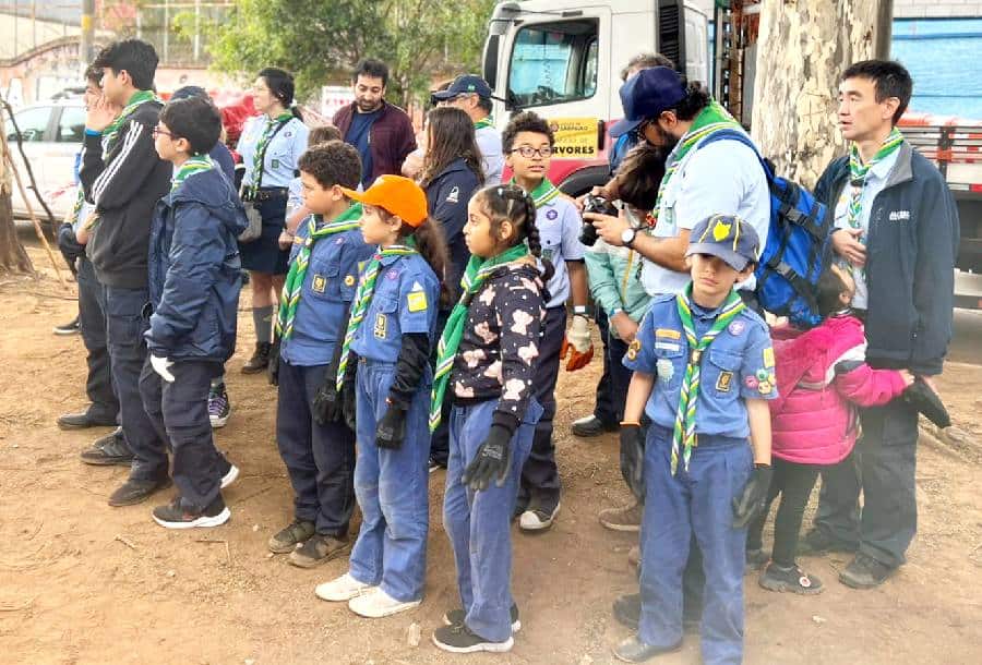 Santana bosque árvores