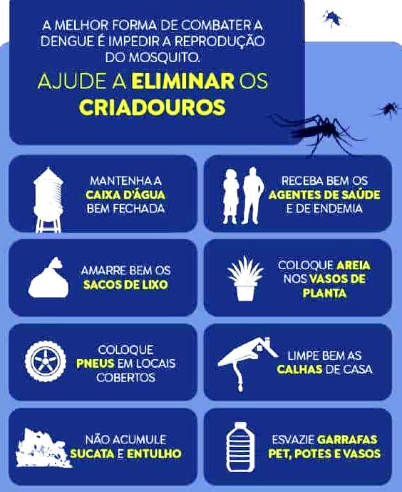 Dia D Agentes Dengue