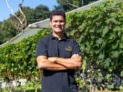 Vinícola Essenza projeta ampliar produção para 25 mil litros na safra 2026