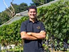 Vinícola Essenza projeta ampliar produção para 25 mil litros na safra 2026