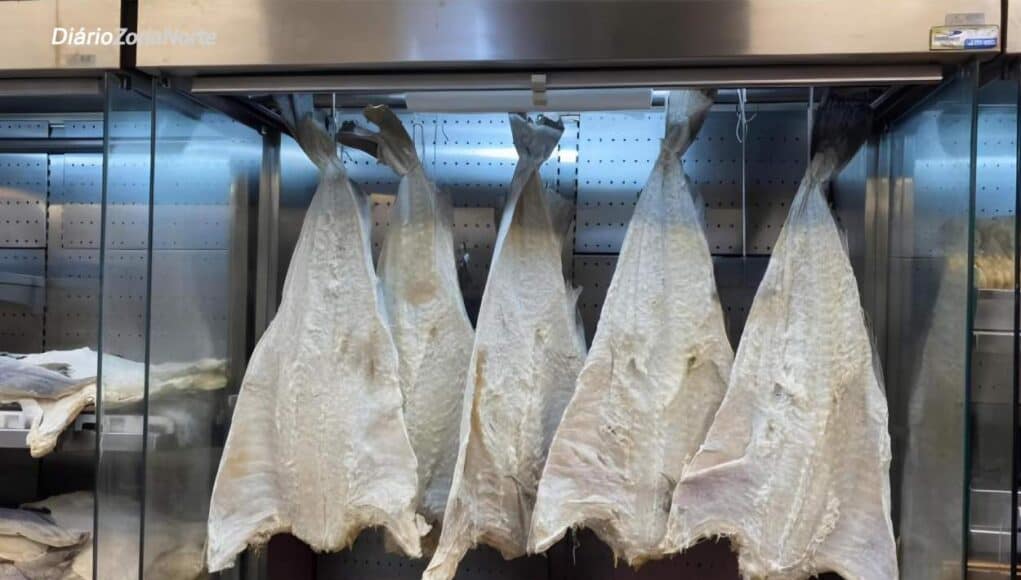 Casa Flora bacalhau azeites