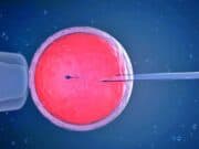Congelamento de óvulos impulsiona crescimento da maternidade solo e consolida o empoderamento reprodutivo Congelamento óvulos