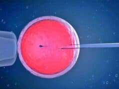 Congelamento de óvulos impulsiona crescimento da maternidade solo e consolida o empoderamento reprodutivo Congelamento óvulos
