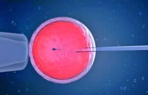 Congelamento de óvulos impulsiona crescimento da maternidade solo e consolida o empoderamento reprodutivo Congelamento óvulos