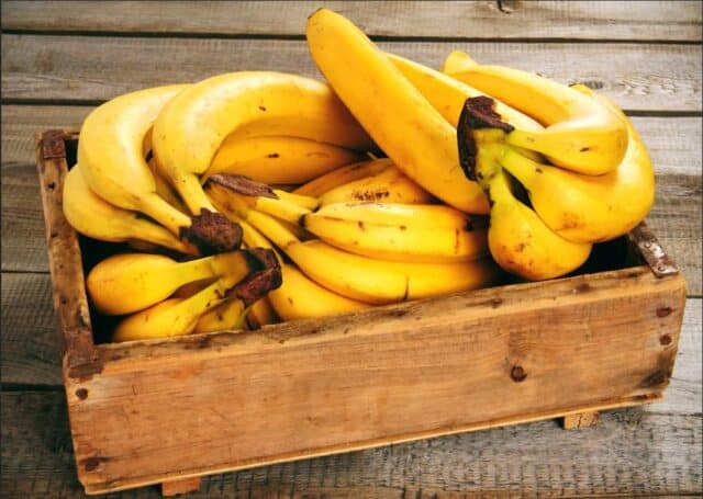 banana IFPA