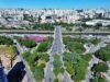 Região da Ponte da Casa Verde recebe quatro novos bosques urbanos. Serão 2.416 árvores. ponte casa verde árvores