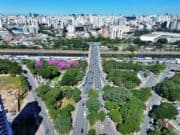 Região da Ponte da Casa Verde recebe quatro novos bosques urbanos. Serão 2.416 árvores. ponte casa verde árvores