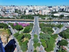 Região da Ponte da Casa Verde recebe quatro novos bosques urbanos. Serão 2.416 árvores. ponte casa verde árvores
