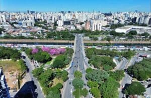 Região da Ponte da Casa Verde recebe quatro novos bosques urbanos. Serão 2.416 árvores. ponte casa verde árvores