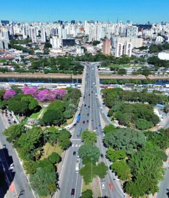Região da Ponte da Casa Verde recebe quatro novos bosques urbanos. Serão 2.416 árvores. ponte casa verde árvores