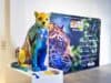 Jaguar Parade Miami 2026 realiza coquetel com cônsul adjunto do Brasil e produtor cultural Léo Fuchs Jaguar Parade