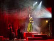 Musical “O Céu de Bibi Ferreira” estreia em São Paulo no Centro Cultural FIESP Musical Céu Bibi Ferreira