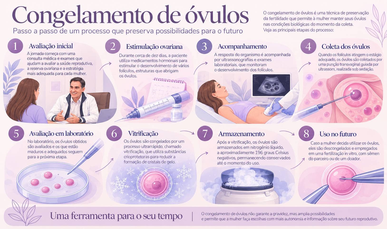 Congelamento Óvulos Alfonso Massaguer
