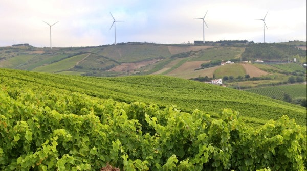 Adega Azueira Lisboa Prowine