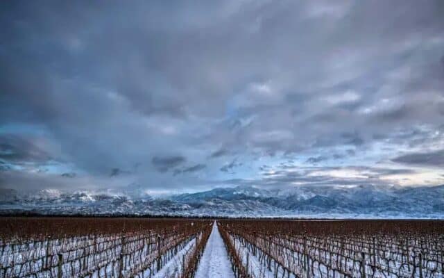 terrazas los andes prowine
