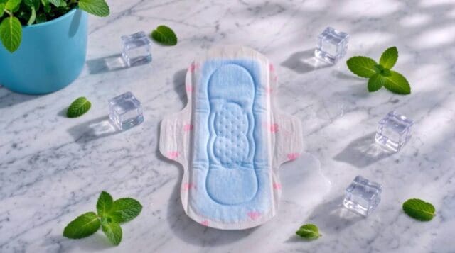 Screenshot menstruação absorvente