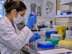 PCR em Tempo Real amplia precisão e agilidade no diagnóstico veterinário PCR Tempo Real veterinário