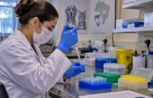 PCR em Tempo Real amplia precisão e agilidade no diagnóstico veterinário PCR Tempo Real veterinário
