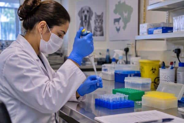 PCR Tempo Real veterinário