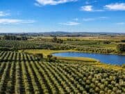 Vinhos, azeites e turismo: Grupo Batalha leva novo projeto da Campanha Gaúcha à ProWine Grupo Batalha ProWine