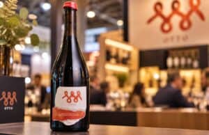 Vinícola Otto antecipa Pinot Noir 2026 e leva rótulos de produção limitada à ProWine São Paulo Otto Prowine