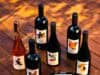 Da Serra da Mantiqueira à ProWine: Rio Manso apresenta vinhos de altitude e prepara enoturismo ProWine Rio Manso
