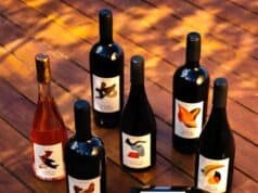 Da Serra da Mantiqueira à ProWine: Rio Manso apresenta vinhos de altitude e prepara enoturismo ProWine Rio Manso