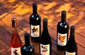 Da Serra da Mantiqueira à ProWine: Rio Manso apresenta vinhos de altitude e prepara enoturismo ProWine Rio Manso